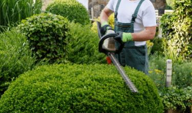 - Landscape Maintenance Services Leesburg, VA