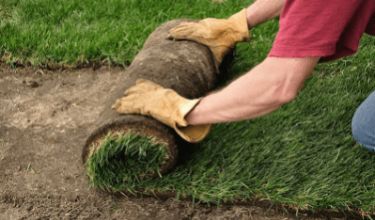 - Lawn Seeding Services, Leesburg, VA