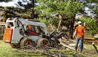 King’s Landscapers - Tree Removal Services Leesburg, VA