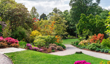 King’s Landscapers - Planting Shrubbery + Trees + Flower Beds